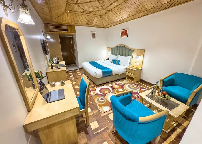 Bravia Hotel Manali Inn