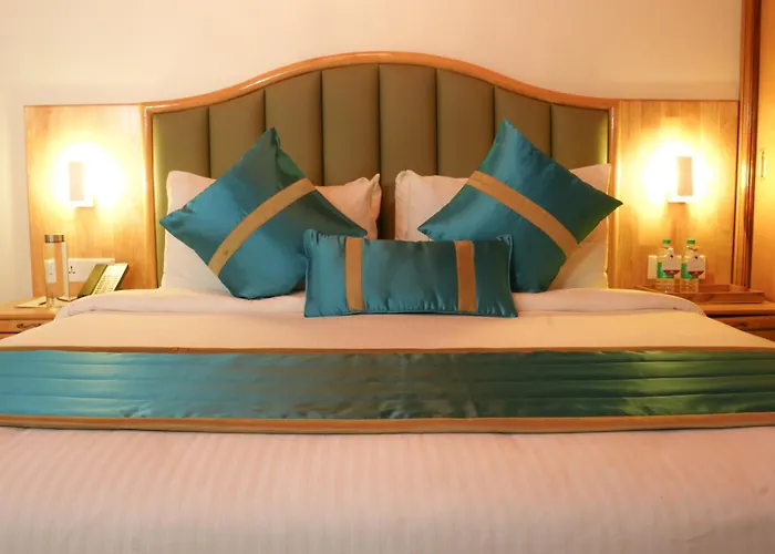 Bravia Hotel Manali Inn