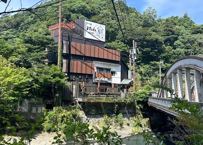 Masutomi Ryokan Hakone
