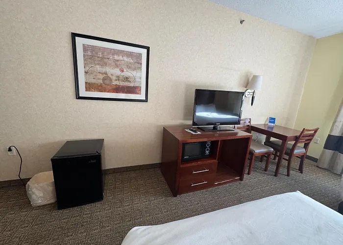 Comfort Inn & Suites Hamburg - Buffalo South