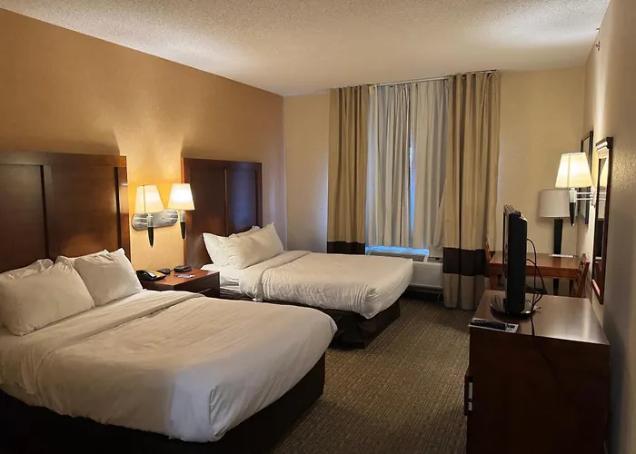 Comfort Inn & Suites Hamburg - Buffalo South