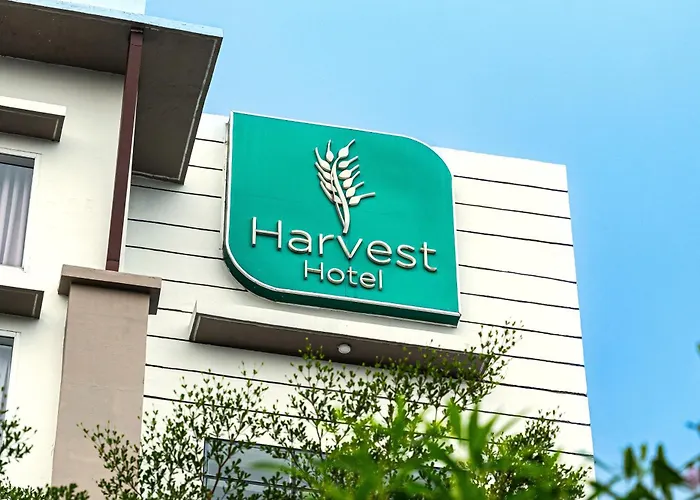 The Harvest Hotel Managed By Hii Cabanatuan City