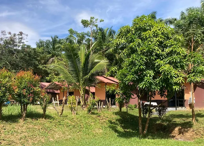 Khao Sok Evergreen House Khao Sok National Park