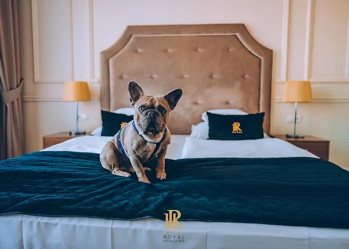Hotel Royal & Spa Bialystok