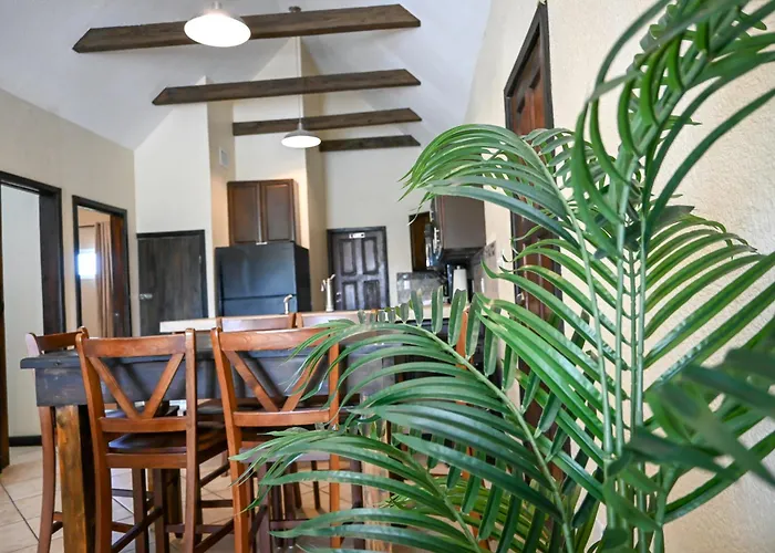 The Palapa House Hotel San Pedro 
