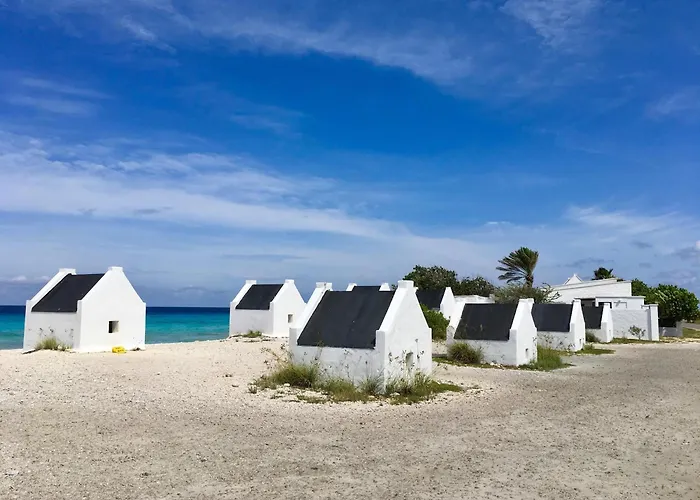 Delfins Beach Resort Bonaire, Tapestry Collection By Hilton Kralendijk