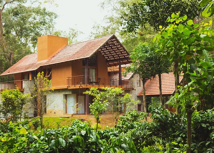The Birchwood Retreat, Madikeri Hotel