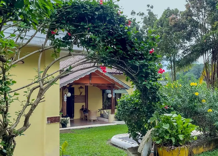 Sumatra Cheeky Monkeys Hotel Bukit Lawang