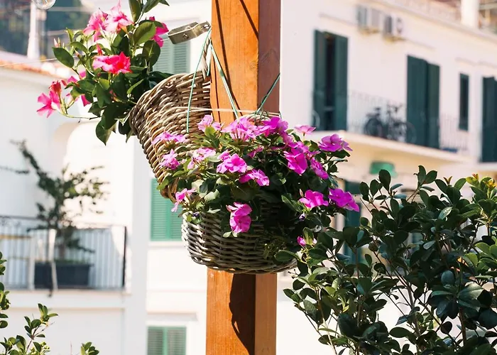 Accademia 39 Hotel Sorrento