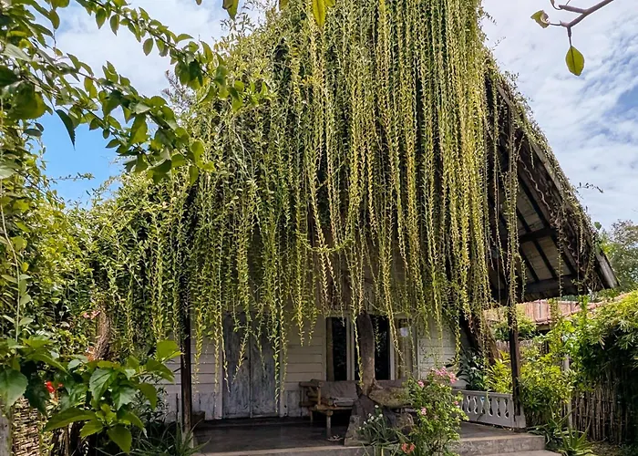Musa Villas And Bungalows Gili Islands