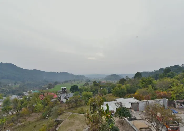 Hotel Pine View - Hotel In Dharamshala