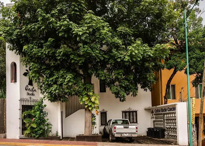 Ceiba Studios Zihuatanejo