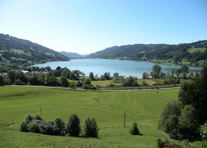 Goldiger Hirsch B&B mit Gemeinschaftsküche Immenstadt im Allgäu