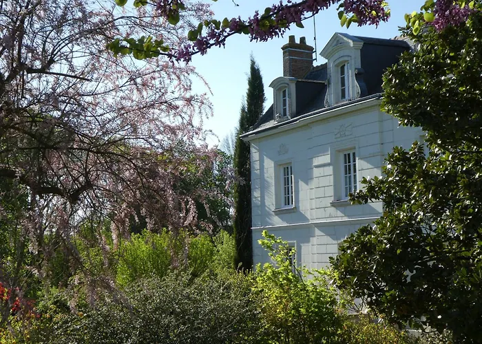 Le Chat Courant Villandry
