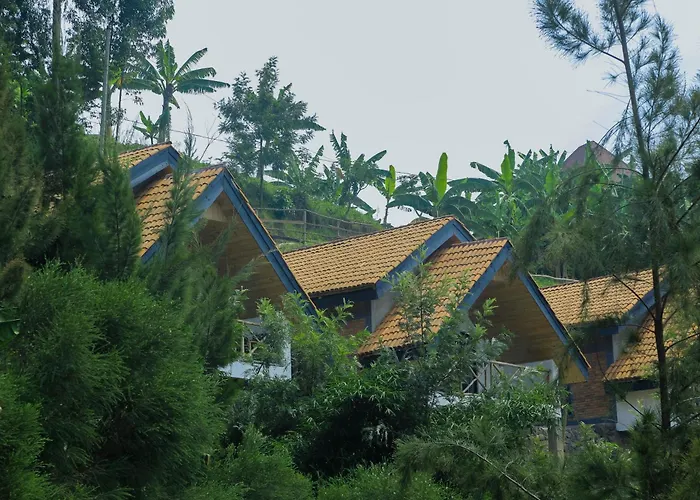 My Hill Eco Lodge Musasa
