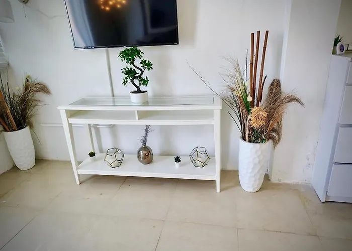 Segovia Studio Units Carolina