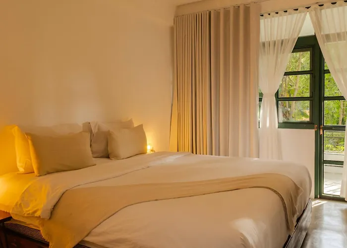 Big Tree Boutique Hotel Ko Tao