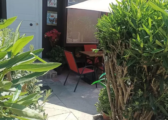 Cabanas Selva Negra Valparaíso