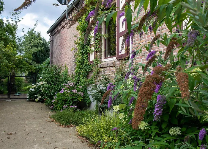 B&B Reveille Kleef