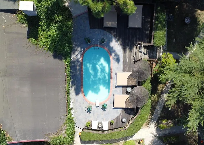 Treetops Park Hotel Ağva