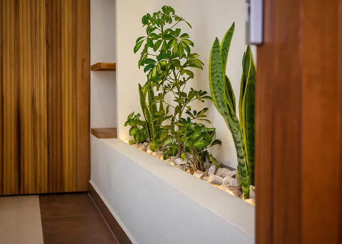 The Nest - Complimentary Massage Included Hotel Kigali