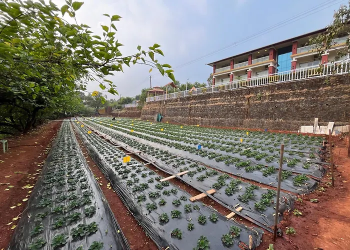 Khushi Riverside Resort & Spa Mahabaleshwar