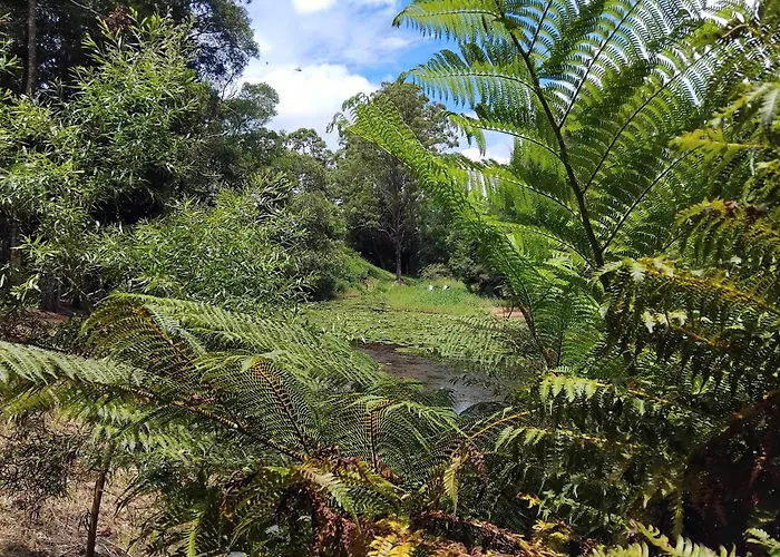 "On Burgum Pond" Cottages Maleny
