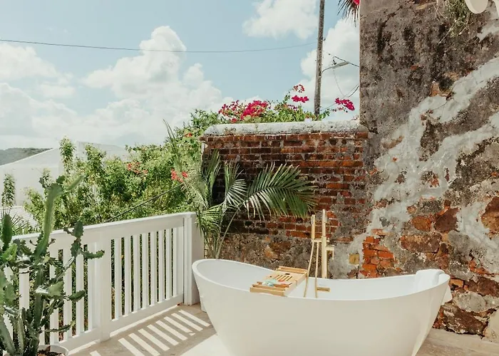 The Pink Palm Hotel - Adults Only Charlotte Amalie