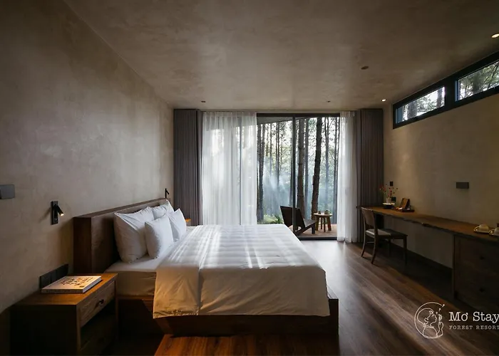 Mo Stay - Forest Resort Da Lat