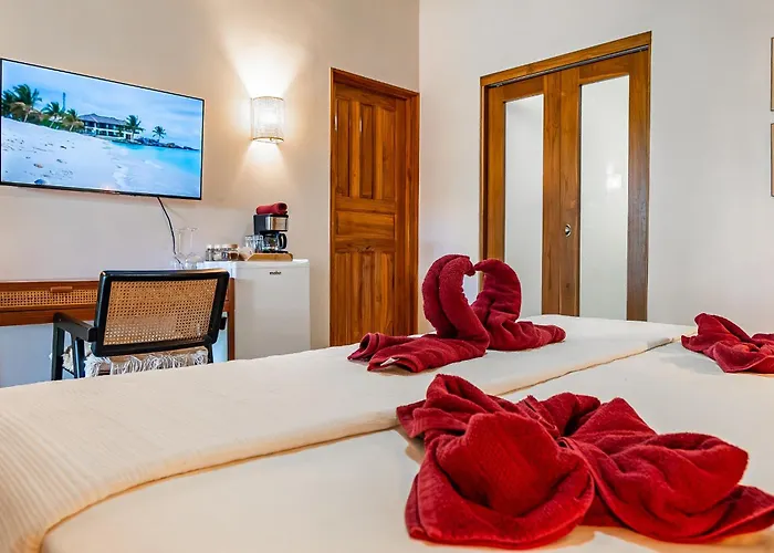 Casa Mapache Hotel Tamarindo