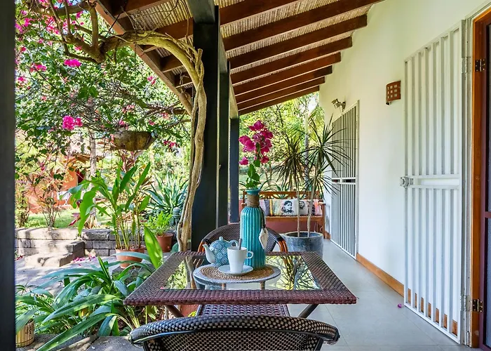Casa Mapache Hotel Tamarindo