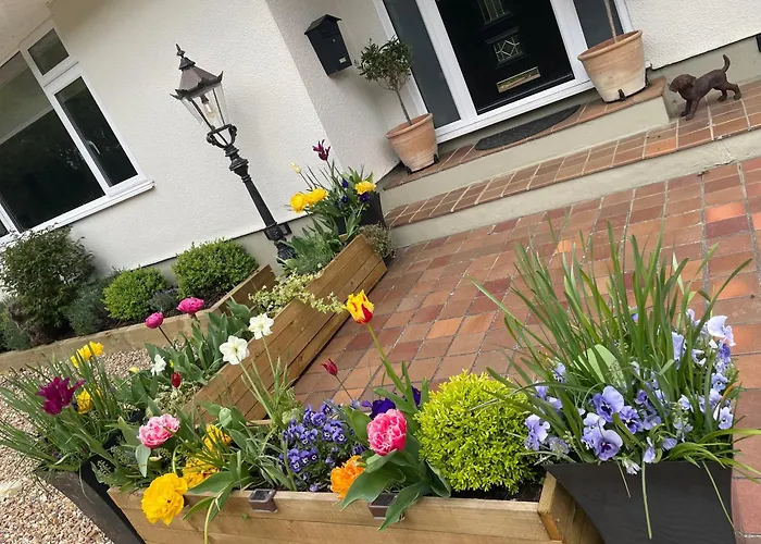 Woodland House B & B Wimborne Minster