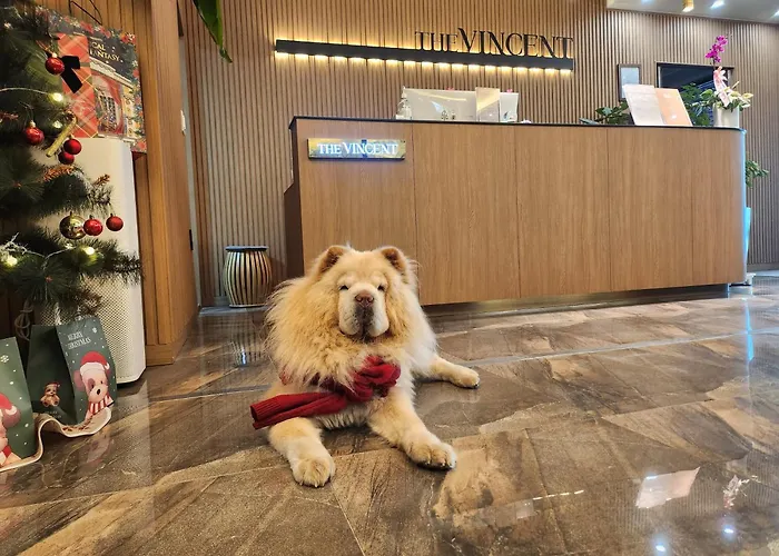 Jeonju Hotel The Vincent