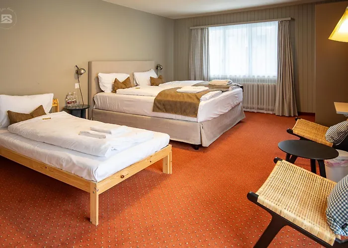 Hotel Bergidyll - Riders Haven - Self Check In Andermatt