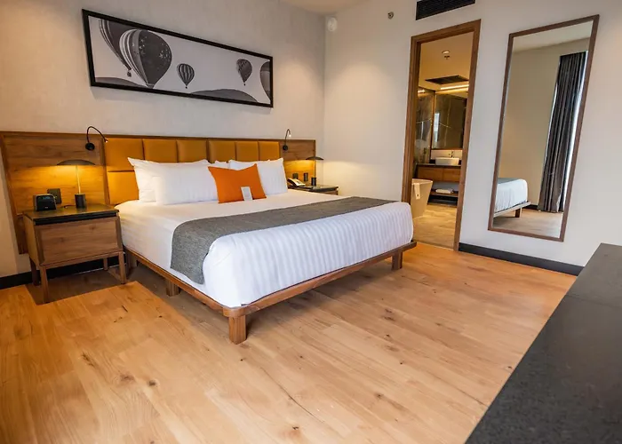 Hotel Galeria Plaza León