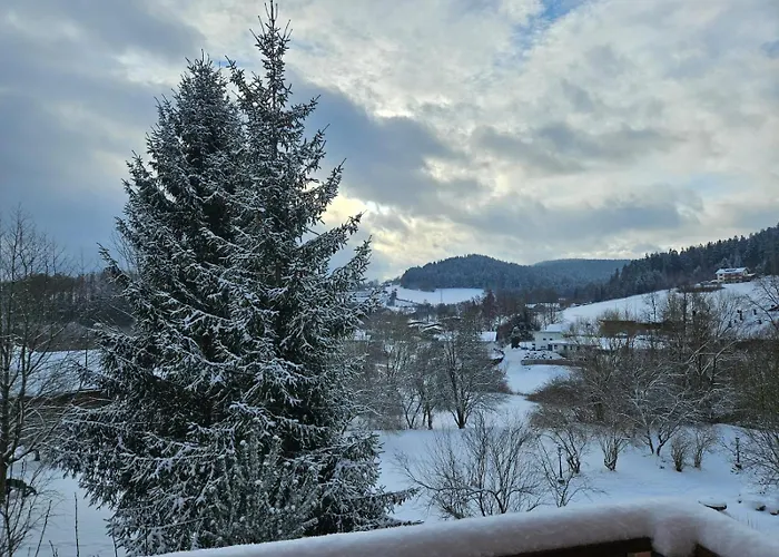 Privat-Zimmer in Hotel am Pfahl Viechtach