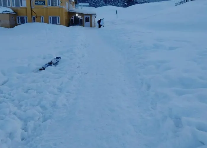 Green Park Hotel & Restaurant Gulmarg