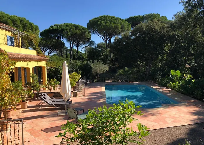 Sous les pins parasols Vidauban