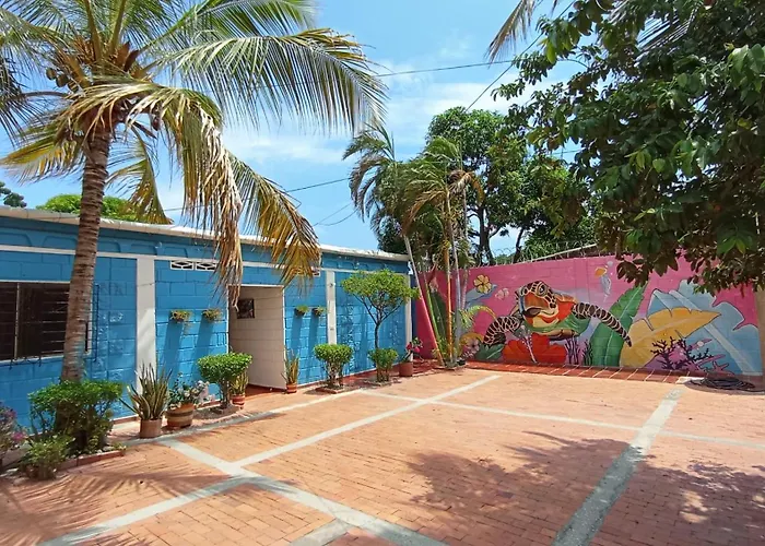 Monkey Man, Beach House Santa Marta 
