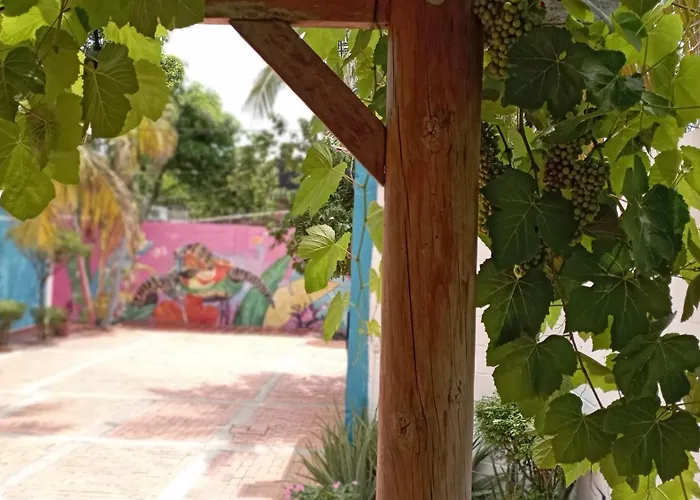 Monkey Man, Beach House Santa Marta 