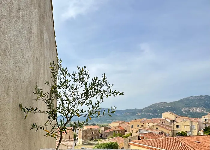 Bella Vita Calenzana