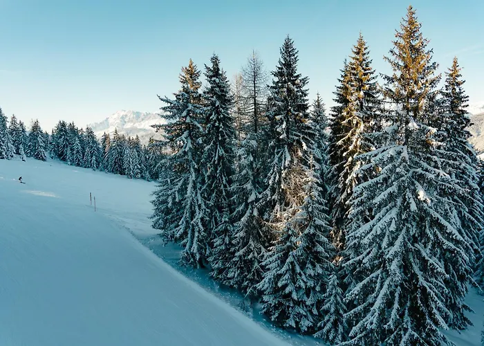 Chalet Auhof Flachau