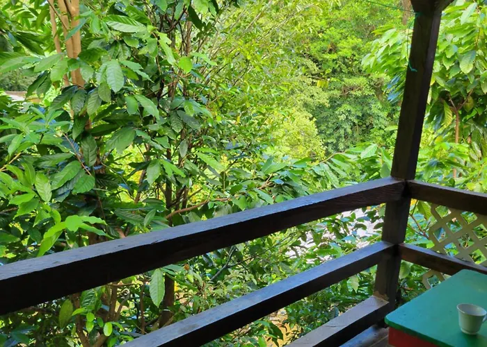 Tia'S Bamboo Cottages Restaurant, Bar & Sulphur Spa Roseau