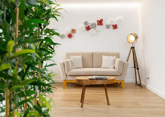 Alojamento White Rose Boutique Zambujeira do Mar