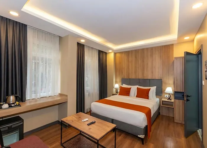 Hotel La Vitrine Estambul