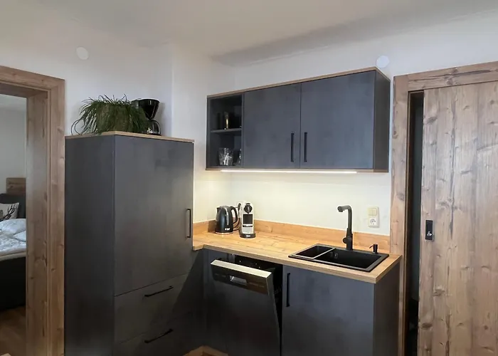 Boutique Apartment Bergliebe Inklusive Joker Card Sommer Saalbach-Hinterglemm