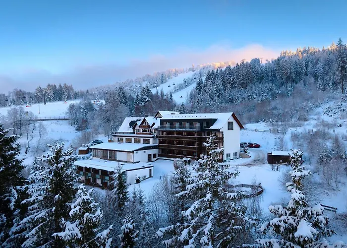 Wald Hotel Willingen