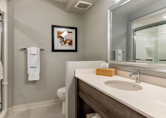 Quality Inn & Suites Amsterdam Fredericton