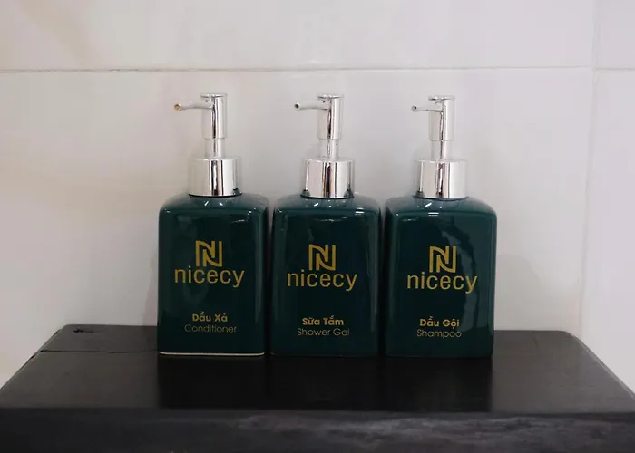 Nicecy Boutique Hotel Ho Chi Minh City
