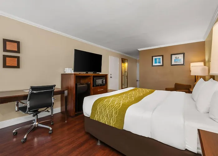 Comfort Inn Oceanside Deerfield Beach